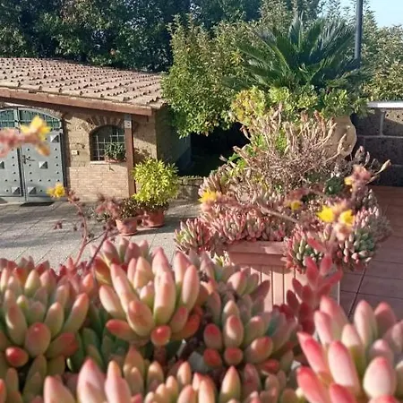 B&B La Casa Sull'aia,av Santo Stefano del Sole