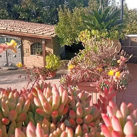 La Casa Sull'aia,av