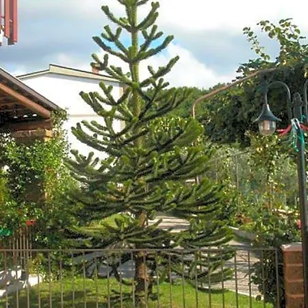 Nocleg ze śniadaniem La Casa Sull'aia,av