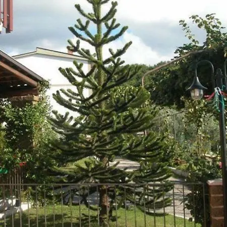 Frühstückspension La Casa Sull'aia,av
